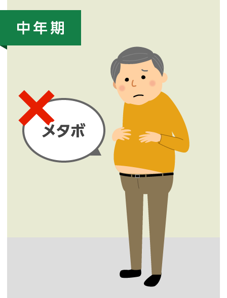 中年期　メタボ