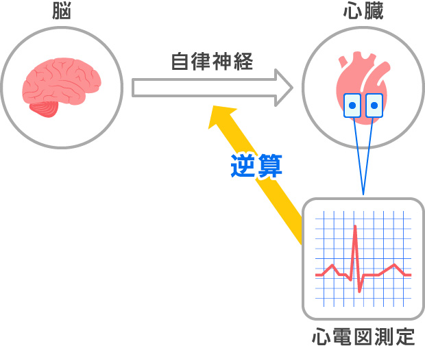 心拍変動パワースペクトル解析のイメージ図