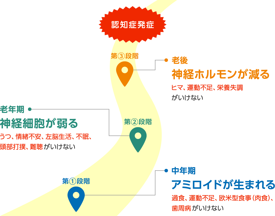 「中年期」アミロイドが生まれる。過食、運動不足、欧米型食事（肉食）、歯周病がいけない。「老年期」神経細胞が弱る。うつ、情緒不安、左脳生活、不眠、頭部打撲、難聴がいけない。「老後」神経ホルモンが減る。ヒマ、運動不足、栄養失調がいけない。