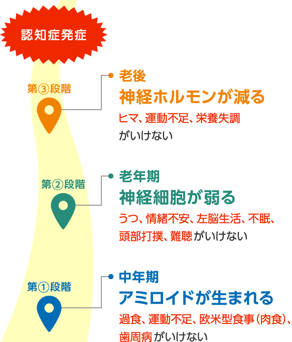 「中年期」アミロイドが生まれる。過食、運動不足、欧米型食事（肉食）、歯周病がいけない。「老年期」神経細胞が弱る。うつ、情緒不安、左脳生活、不眠、頭部打撲、難聴がいけない。「老後」神経ホルモンが減る。ヒマ、運動不足、栄養失調がいけない。