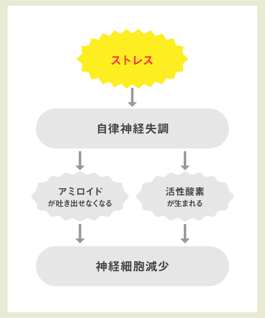 ストレス→自律神経失調→アミロイドが吐き出せなくなる/活性酸素が生まれる→神経細胞減少