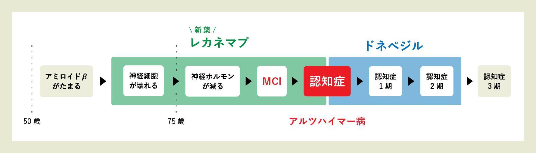 アミロイドβがたまる→【(新薬)レカネマブ】神経細胞が壊れる→神経ホルモンが減る→MCI→認知症→【ドネペジル】認知症1期→認知症2期→認知症3期
