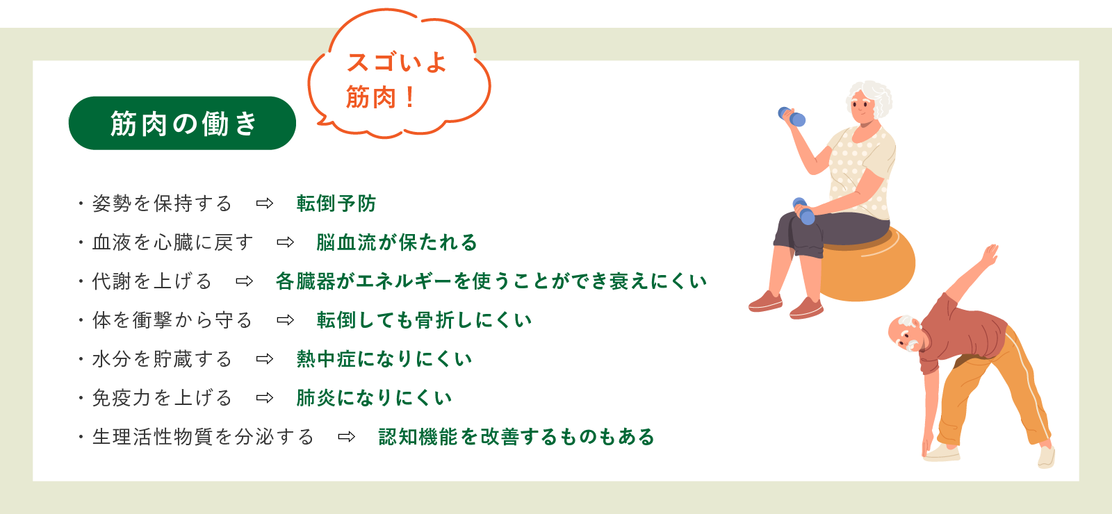 【筋肉の働き】転倒予防/脳血流が保たれる/各臓器がエネルギーを使うことができ衰えにくい/転倒しても骨折しにくい/熱中症になりにくい/肺炎になりにくい/認知機能を改善するものもある