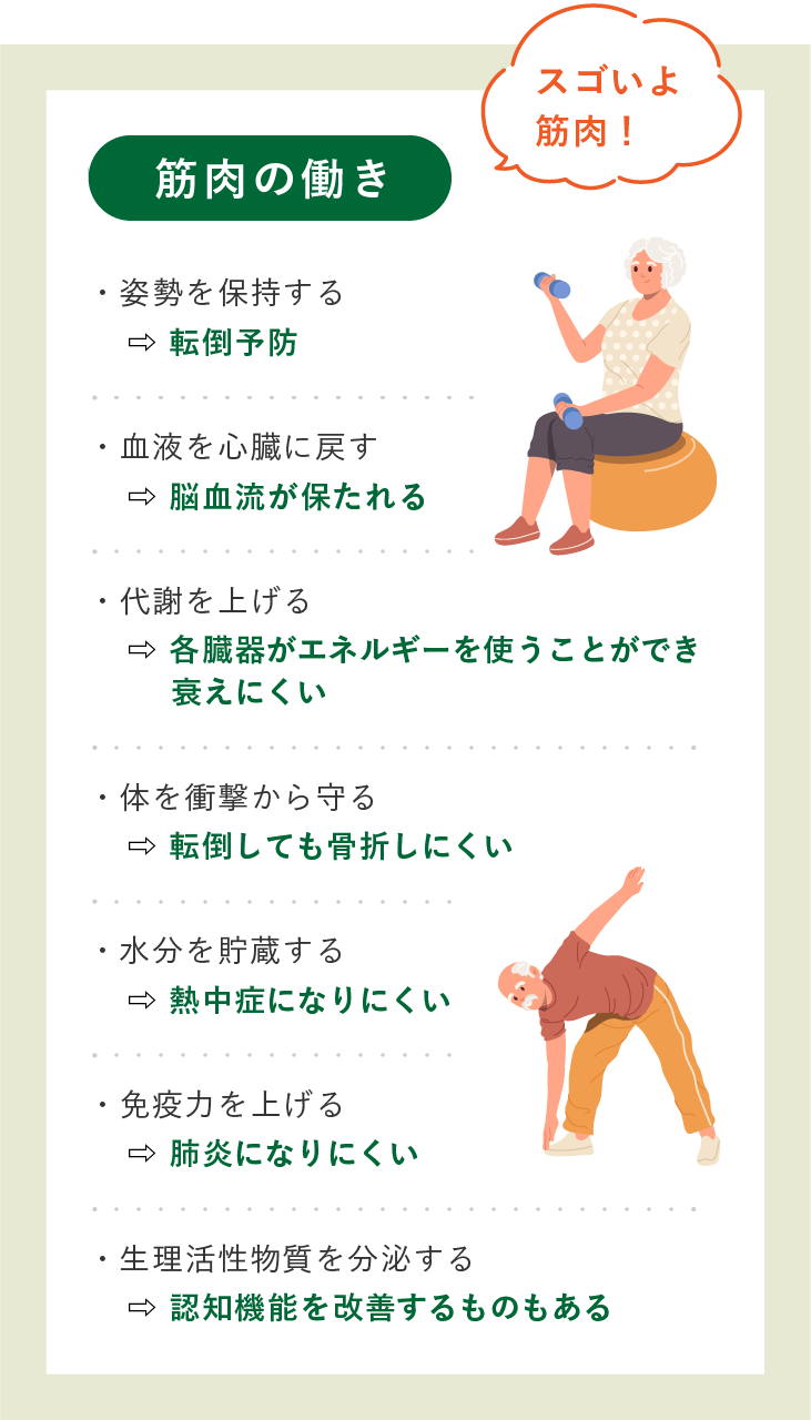 【筋肉の働き】転倒予防/脳血流が保たれる/各臓器がエネルギーを使うことができ衰えにくい/転倒しても骨折しにくい/熱中症になりにくい/肺炎になりにくい/認知機能を改善するものもある