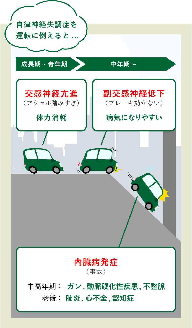 交感神経亢進(体力消耗)→副交感神経低下(病気になりやすい)→内臓病発症(中高年期:ガン,動脈硬化性疾患,不整脈/老後:肺炎,心不全,認知症)