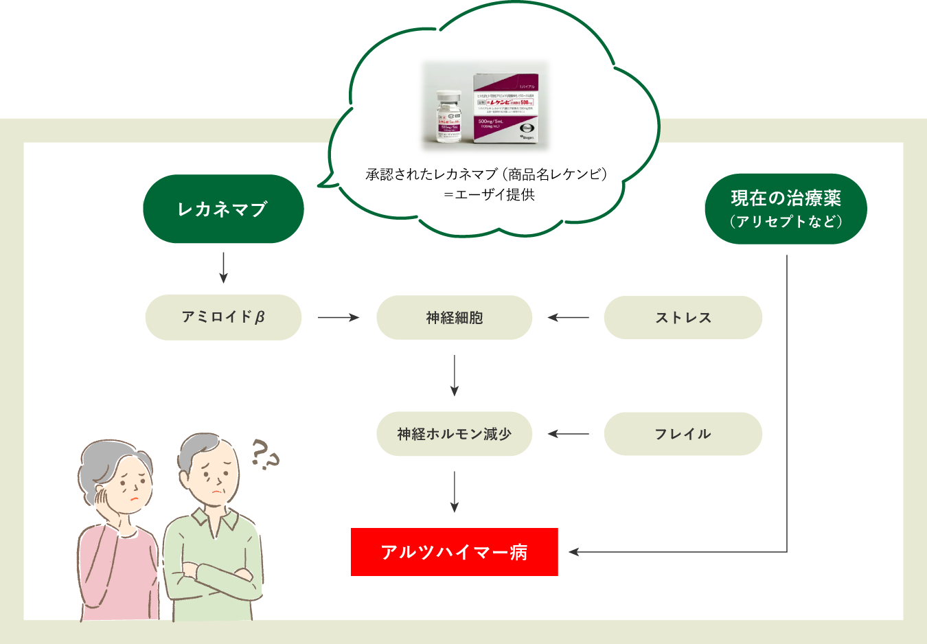 レカネマブ→アミロイドβ→神経細胞(←ストレス)→神経ホルモン減少(←フレイル)→アルツハイマー病(←現在の治療薬(アリセプトなど))