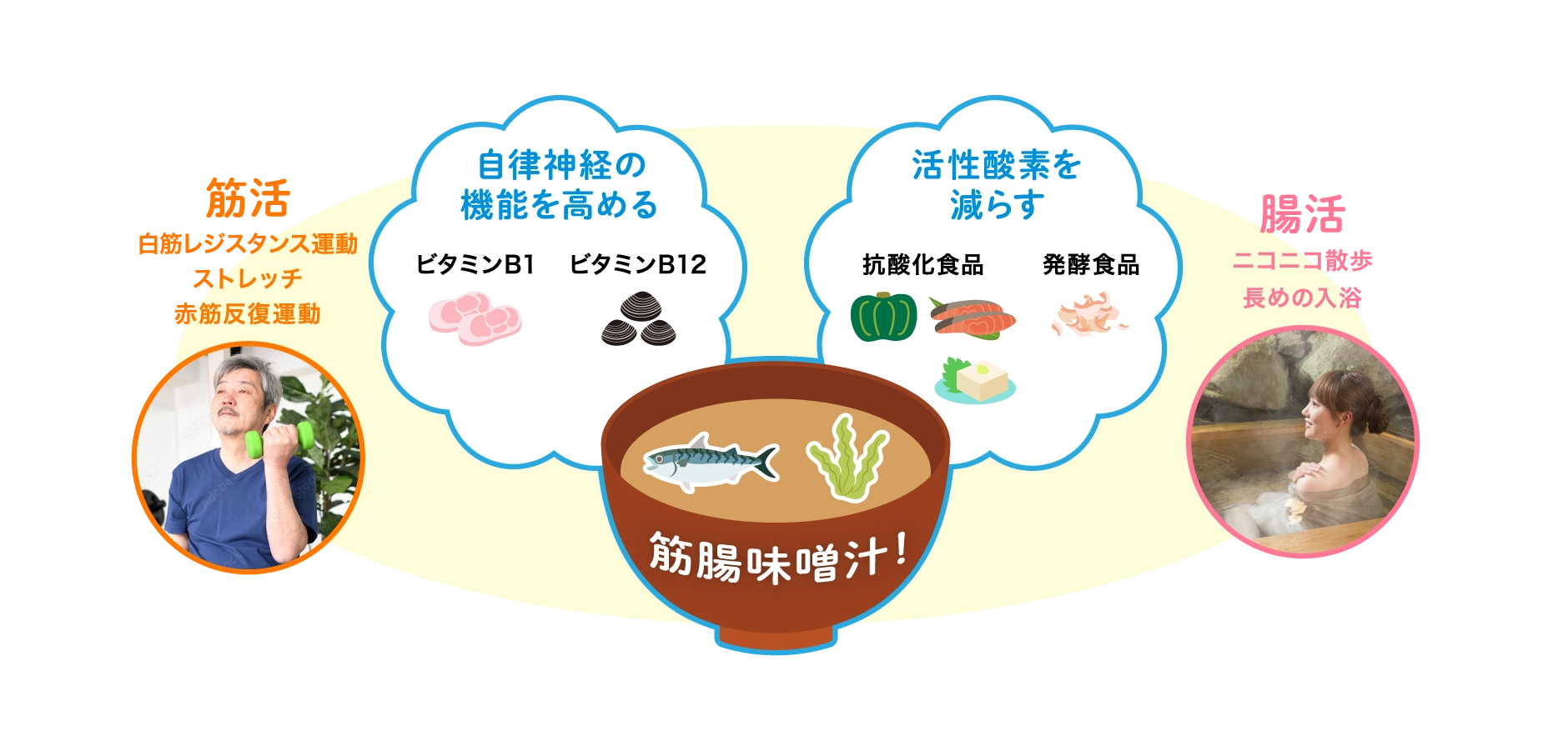 筋活（白筋レジスタンス運動・ストレッチ・赤筋反復運動）、腸活（ニコニコ散歩・長めの入浴）、自律神経の機能を高める（ビタミンB1・ビタミンB12）、活性酸素を減らす（抗酸化食品・発酵食品）