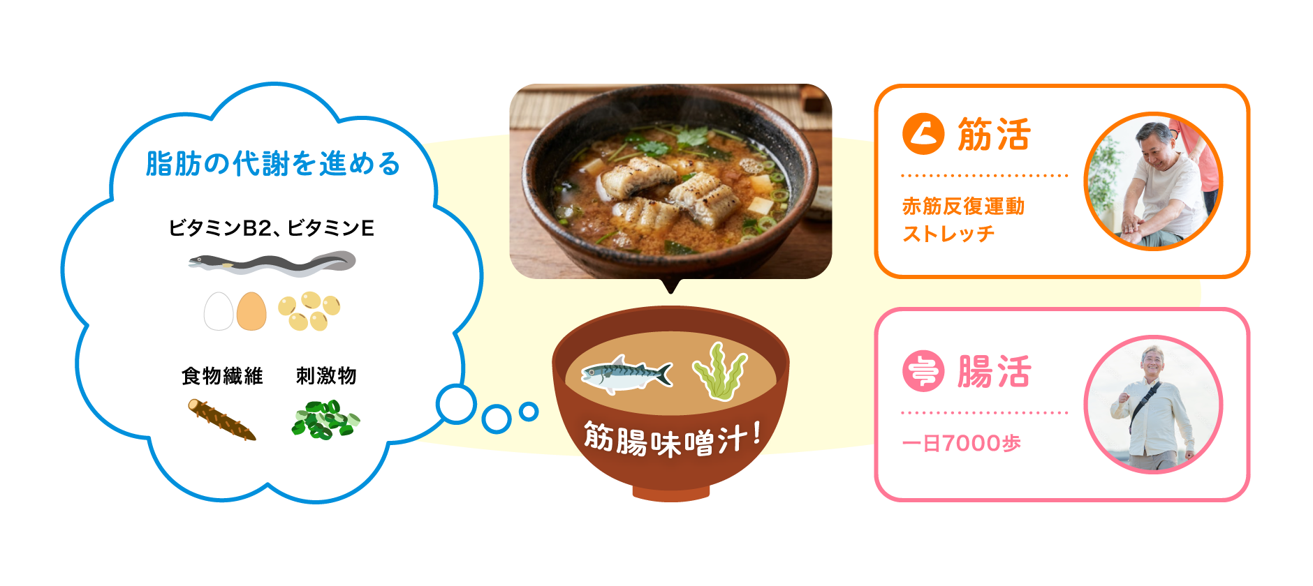 脂肪の代謝を進める（ビタミンB2・ビタミンE・食物繊維・刺激物）、筋活（赤筋反復運動・ストレッチ）、腸活（一日7000歩）