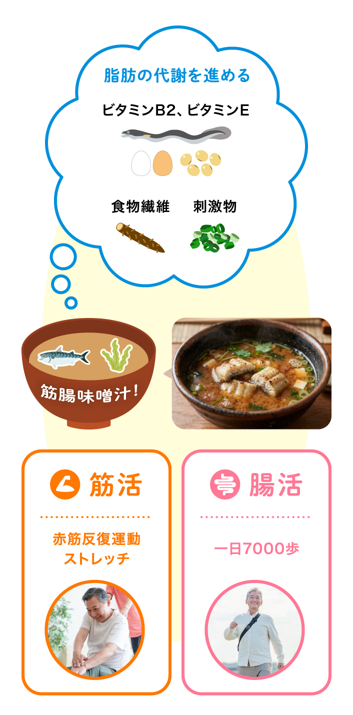 脂肪の代謝を進める（ビタミンB2・ビタミンE・食物繊維・刺激物）、筋活（赤筋反復運動・ストレッチ）、腸活（一日7000歩）