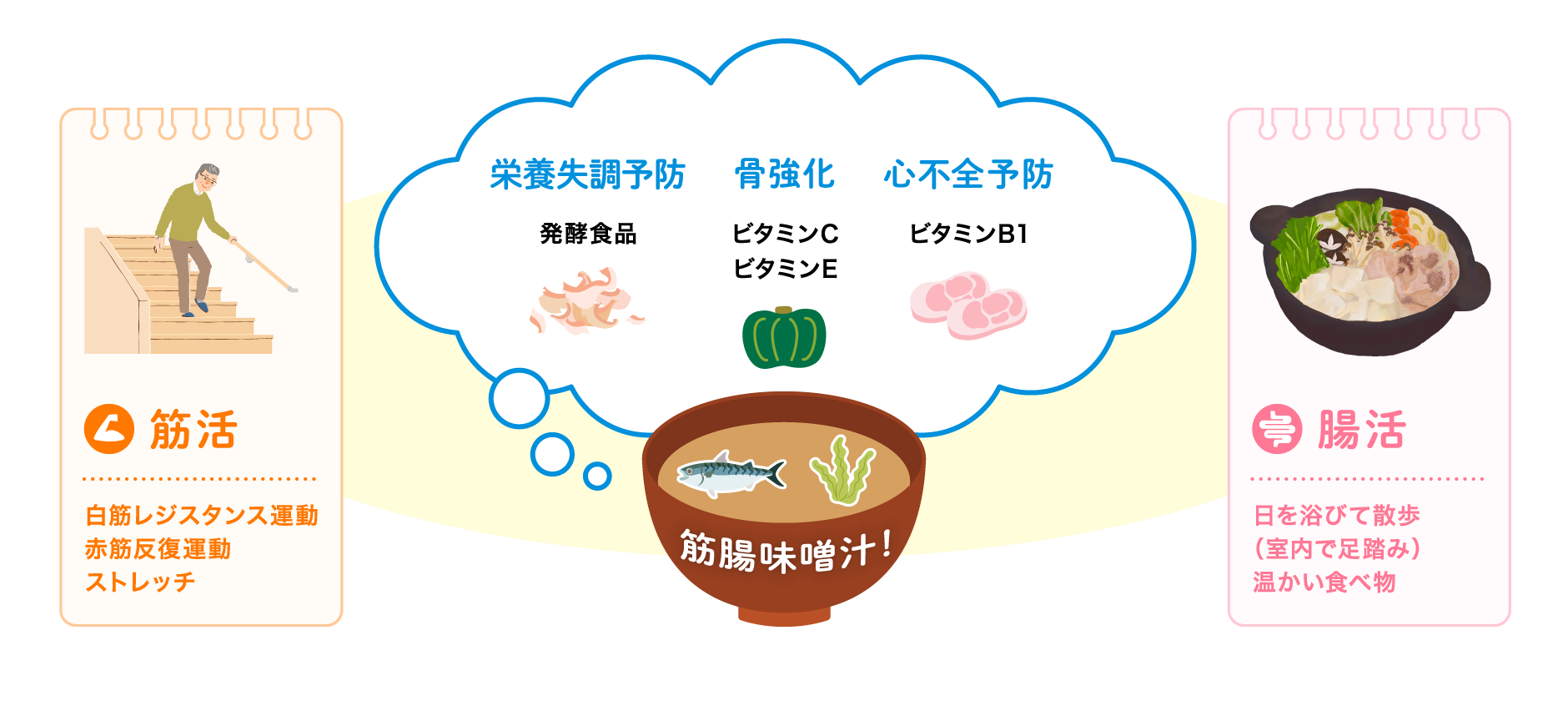 栄養失調予防（発酵食品）、骨強化（ビタミンC・ビタミンE）、心不全予防（ビタミンB1）、筋活（白筋レジスタンス運動・赤筋反復運動・ストレッチ）、腸活（日を浴びて散歩（室内で足踏み）・温かい食べ物）
