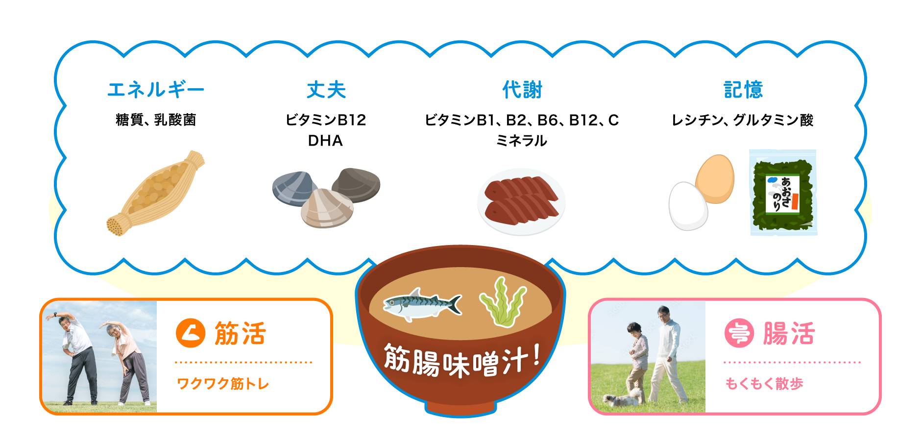 エネルギー（糖質・乳酸菌）、丈夫（ビタミンB12・DHA）、代謝（ビタミンB1・B2・B6・B12・C・ミネラル）、記憶（レシチン・グルタミン酸）、筋活（ワクワク筋トレ）、腸活（もくもく散歩）