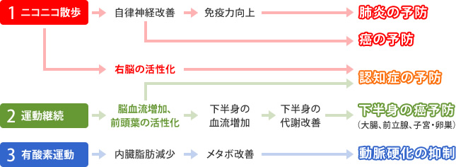 肺炎の予防、癌の予防、認知症の予防、下半身の癌予防(大腸、前立腺、子宮・卵巣)、動脈硬化の抑制